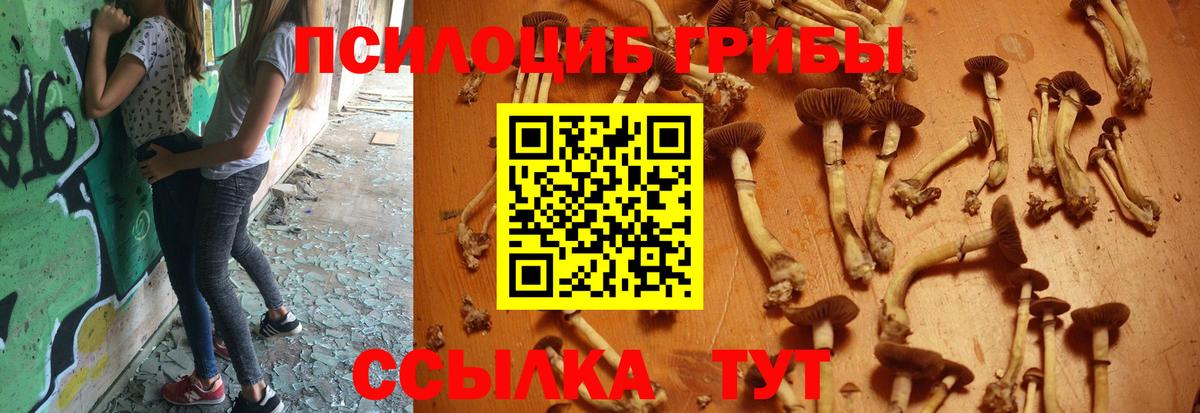 Барнаул  Галлюциногенные грибы Psilocybe  Псилоцибиновые грибы MAGIC MUSHROOMS  Вход с VPN 